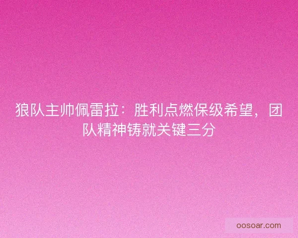 狼队主帅佩雷拉：胜利点燃保级希望，团队精神铸就关键三分
